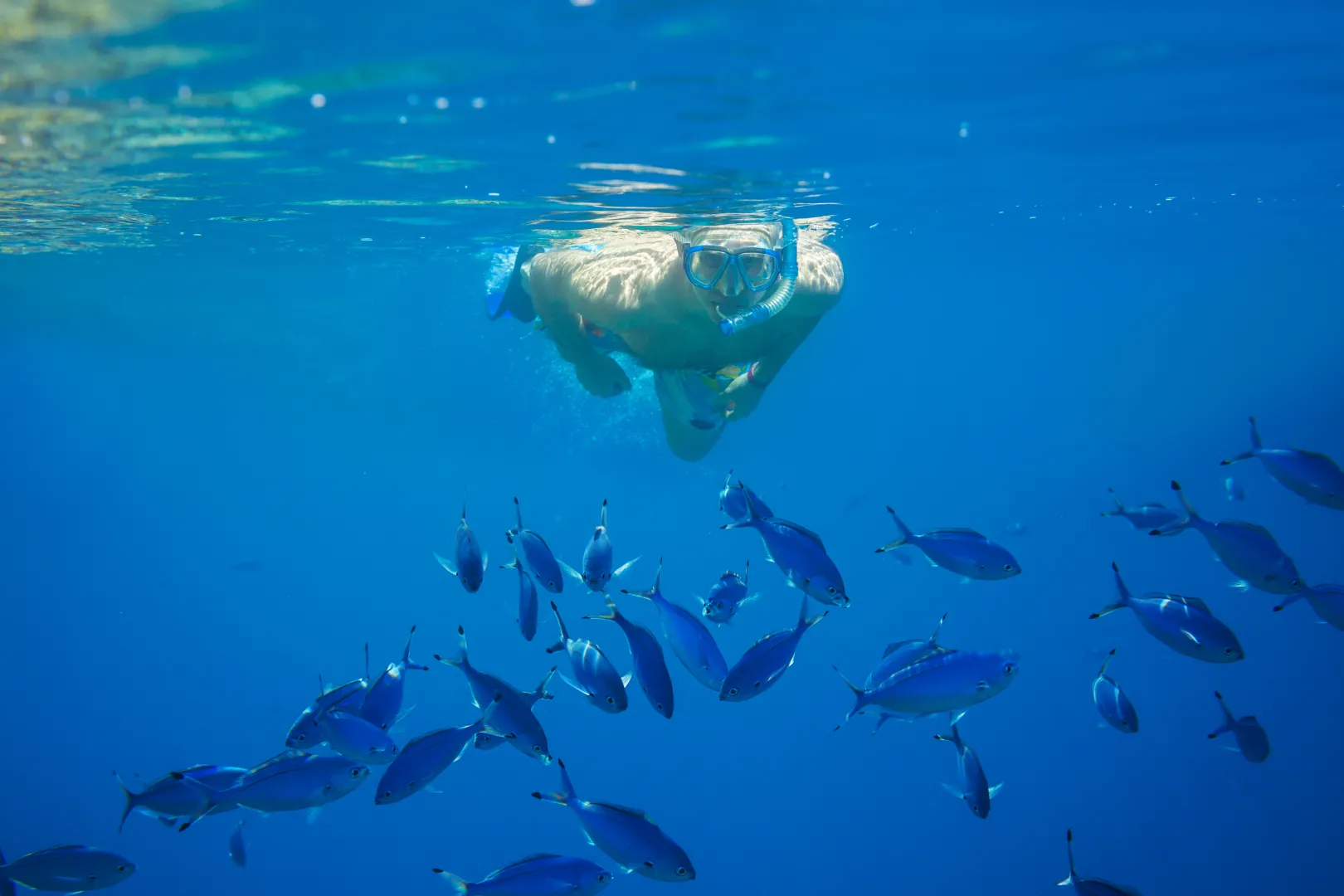 Snorkelling Nirwana