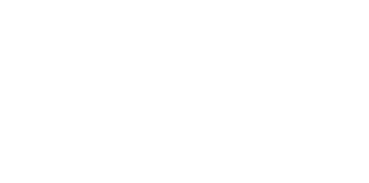 TRM Nirwana logo